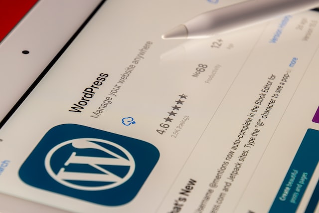 why Wordpress is best CMS for solopreneurs