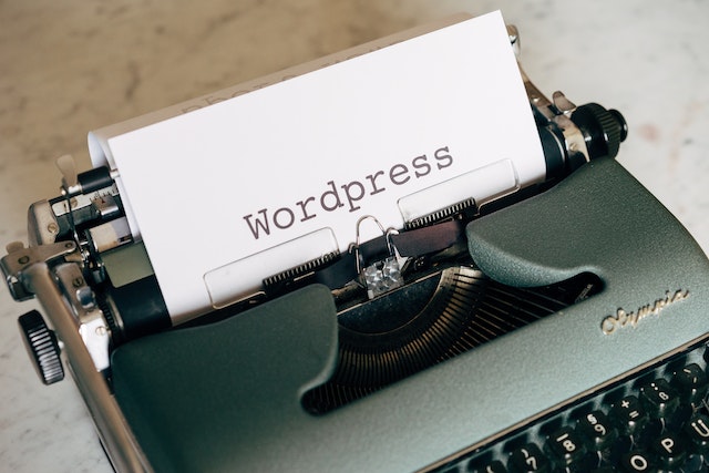 Best WordPress Theme For Solopreneurs